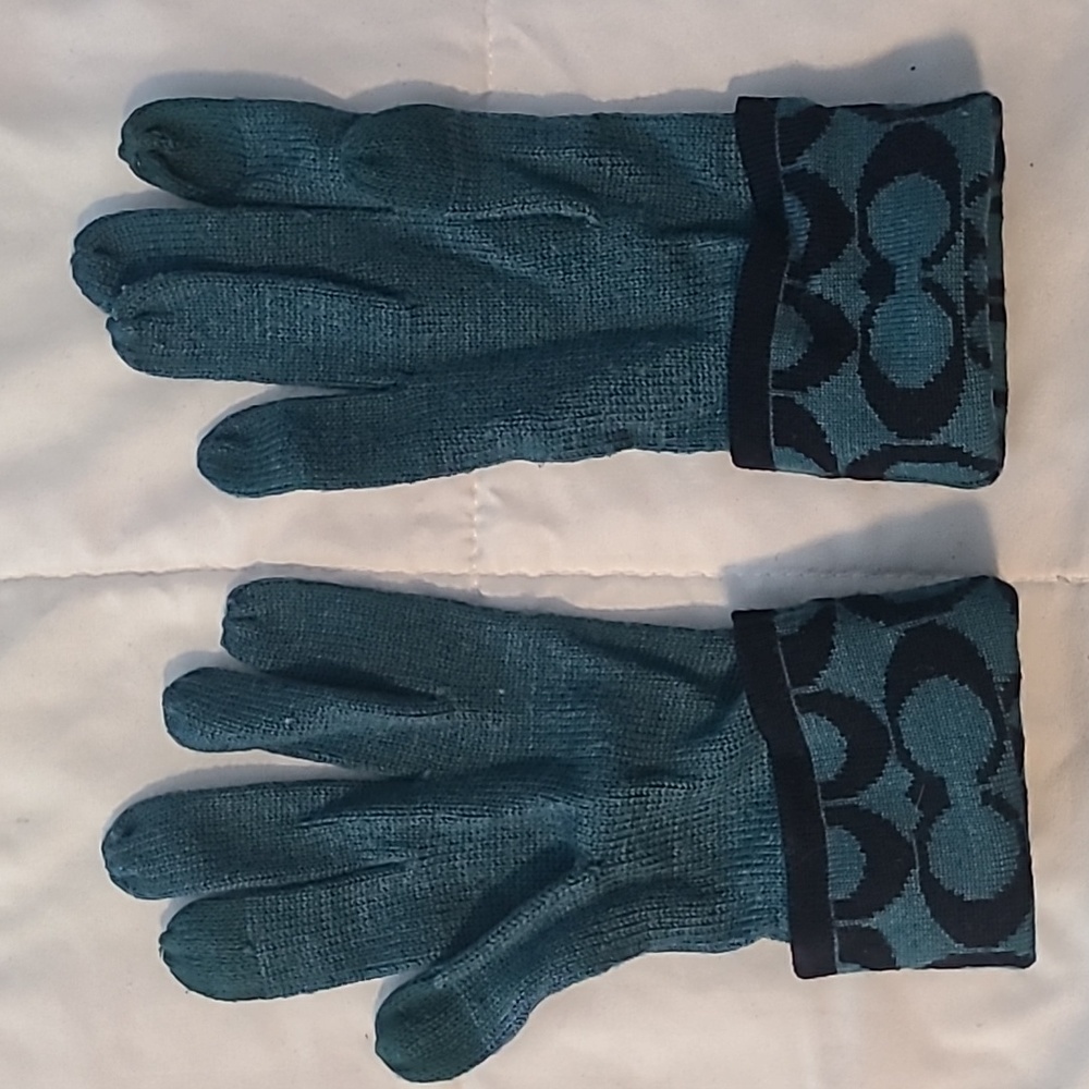 Coach gloves